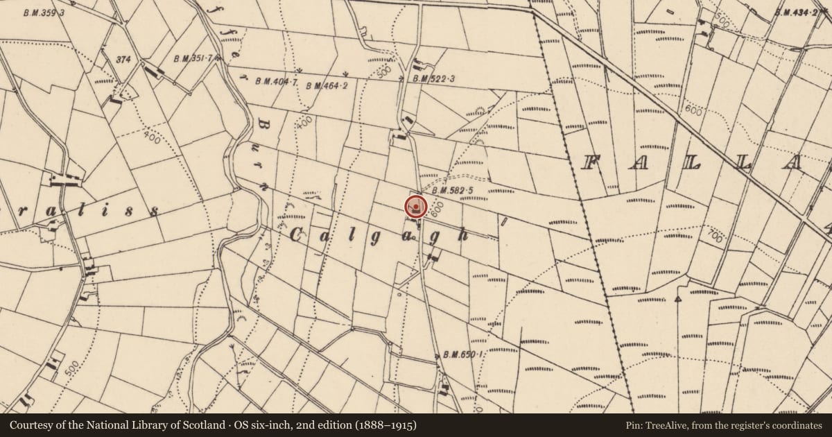 Ordnance Survey six-inch map, 2nd edition (1888–1915) covering the location of 23 Glenmacoffer Road, Fermanagh and Omagh, with a pin at the register's coordinates