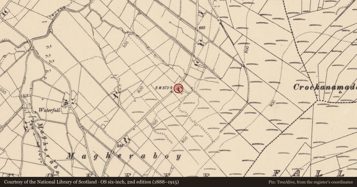 Ordnance Survey six-inch map, 2nd edition (1888–1915) covering the location of Glenmacoffer Road, Fermanagh and Omagh, with a pin at the register's coordinates