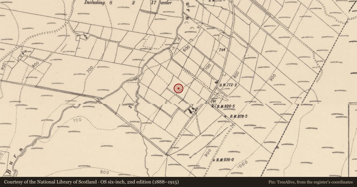 Ordnance Survey six-inch map, 2nd edition (1888–1915) covering the location of Glenmacoffer Road, Fermanagh and Omagh, with a pin at the register's coordinates
