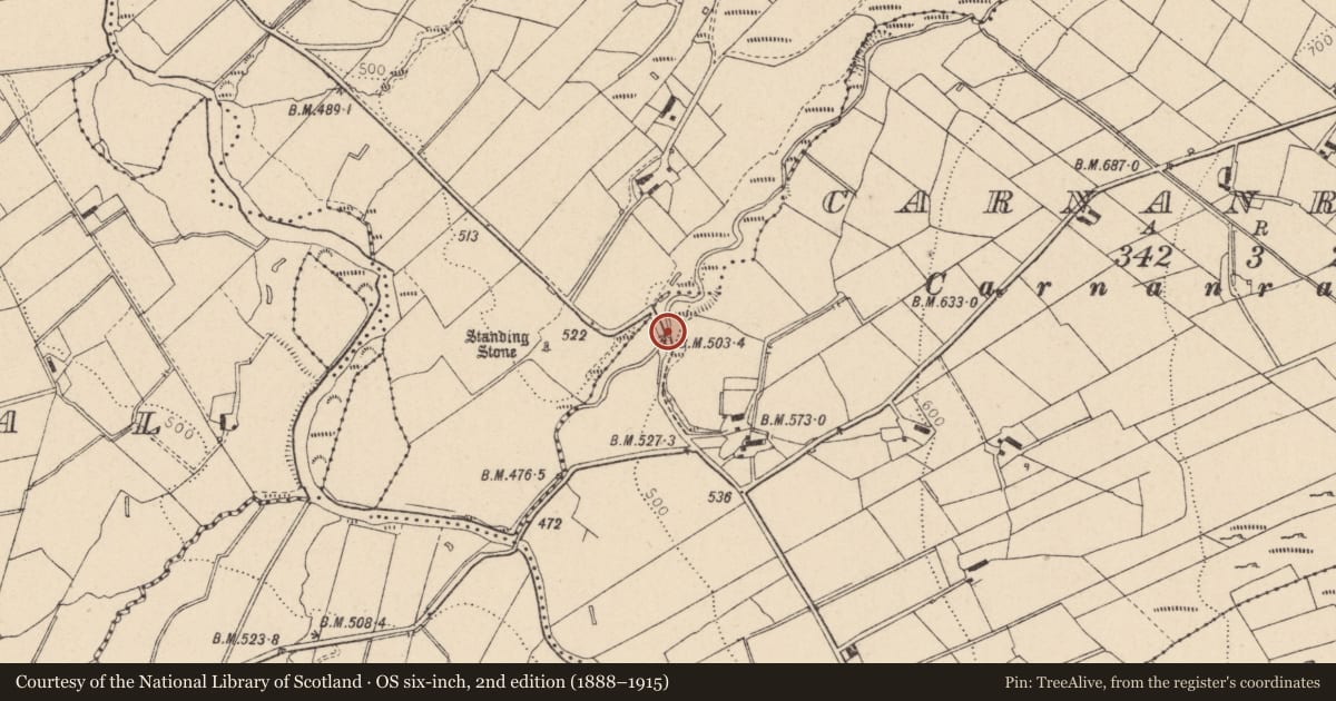 Ordnance Survey six-inch map, 2nd edition (1888–1915) covering the location of Bridge over Carnanransy Burn, Fermanagh and Omagh, with a pin at the register's coordinates