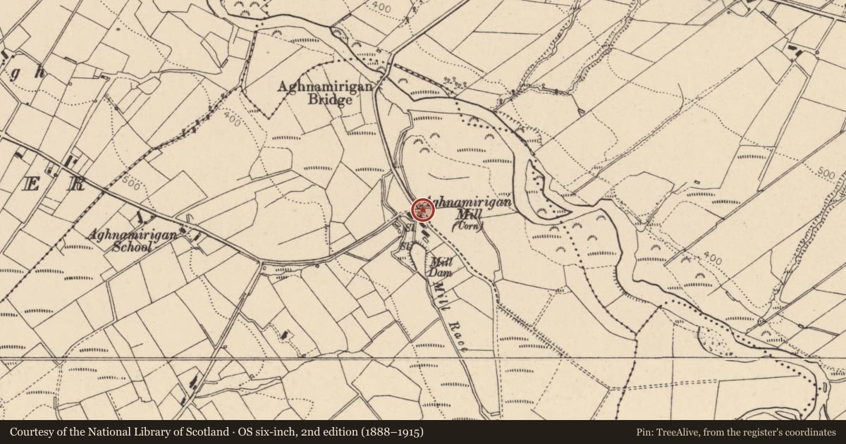 Ordnance Survey six-inch map, 2nd edition (1888–1915) covering the location of 17-19 Aughnamirigan Road, Fallagh Lower, Fermanagh and Omagh, with a pin at the register's coordinates