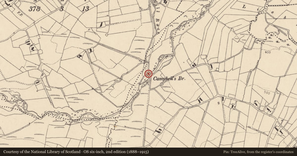 Ordnance Survey six-inch map, 2nd edition (1888–1915) covering the location of Campbells Bridge over Glensawisk Burn, Binnafreaghan, Fermanagh and Omagh, with a pin at the register's coordinates