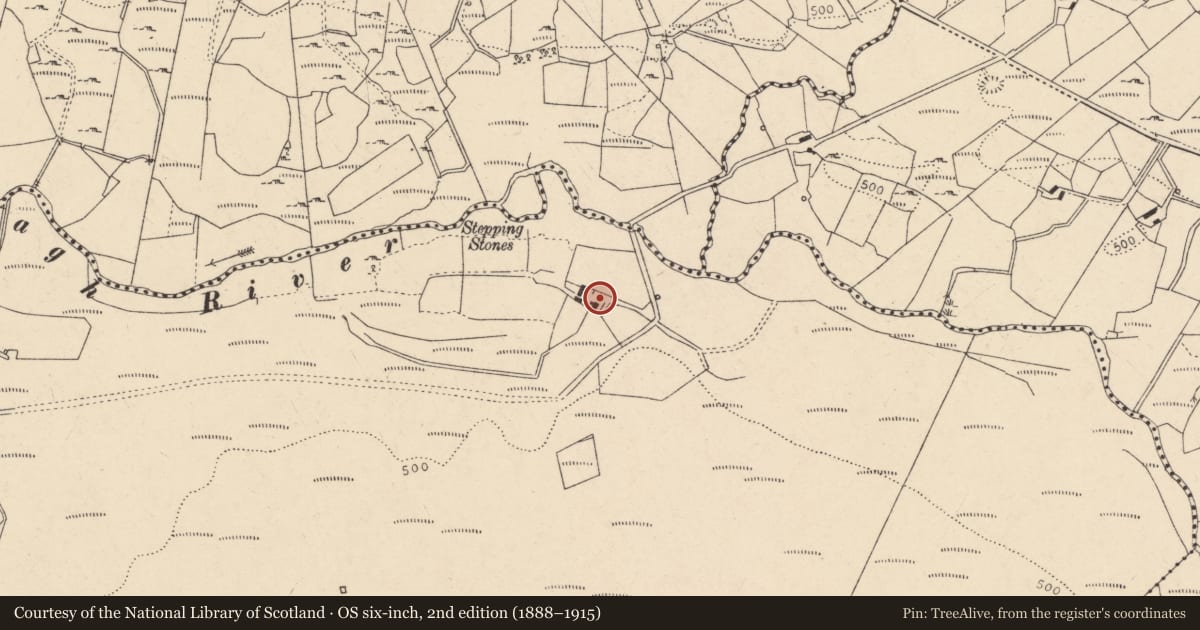 Ordnance Survey six-inch map, 2nd edition (1888–1915) covering the location of 323 Crockanboy Road, Cashel, Fermanagh and Omagh, with a pin at the register's coordinates