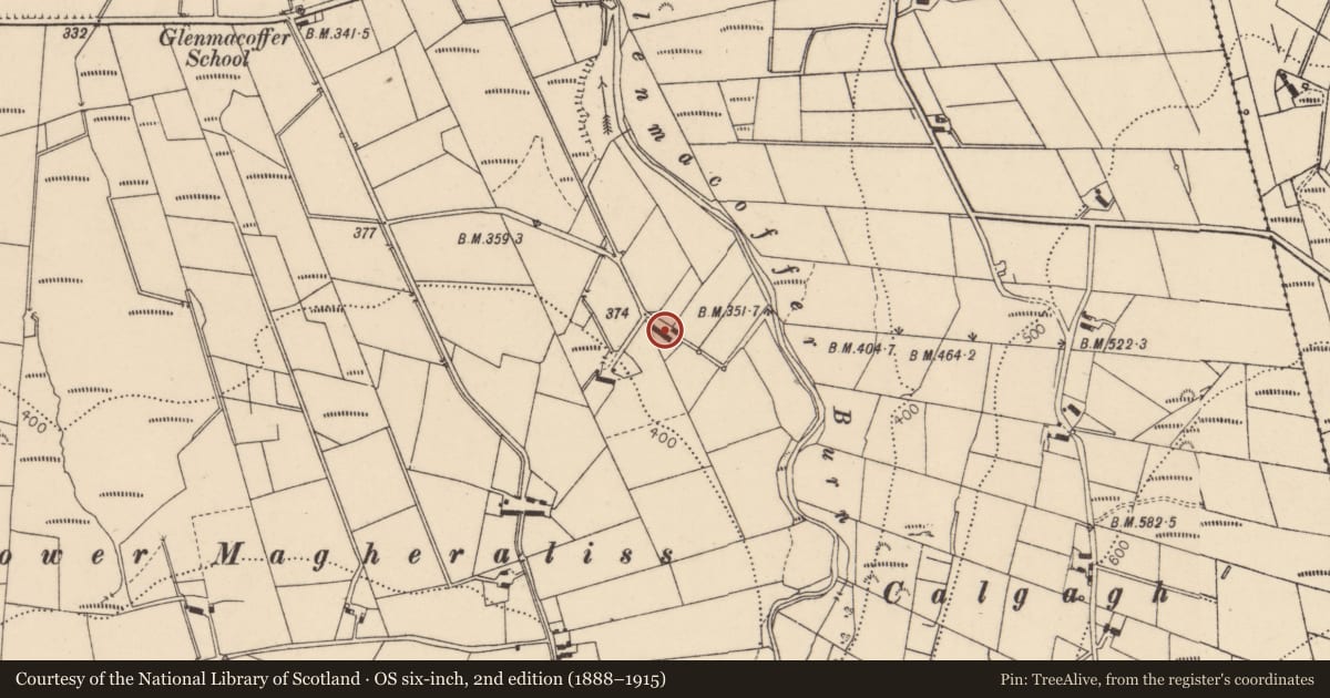 Ordnance Survey six-inch map, 2nd edition (1888–1915) covering the location of 8 Magheraliss Road, Glenmacoffer, Fermanagh and Omagh, with a pin at the register's coordinates
