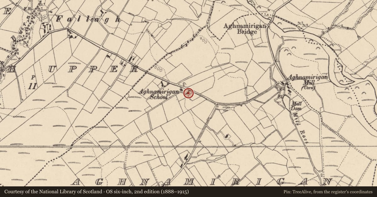 Ordnance Survey six-inch map, 2nd edition (1888–1915) covering the location of 36 Fallagh Road, Fermanagh and Omagh, with a pin at the register's coordinates