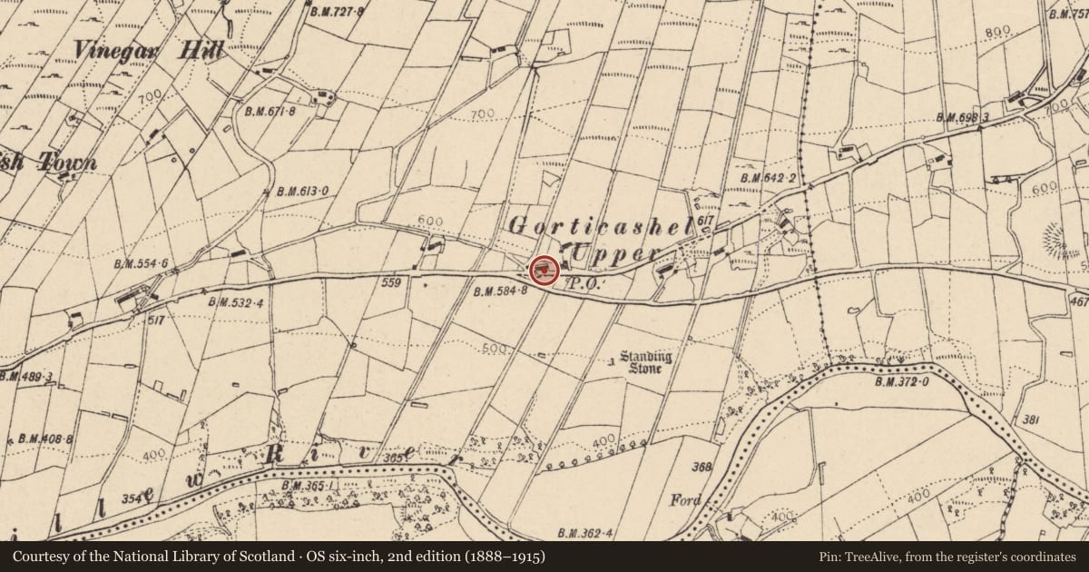 Ordnance Survey six-inch map, 2nd edition (1888–1915) covering the location of Telephone Kiosk, Gortiscashel Upper, Omagh, with a pin at the register's coordinates