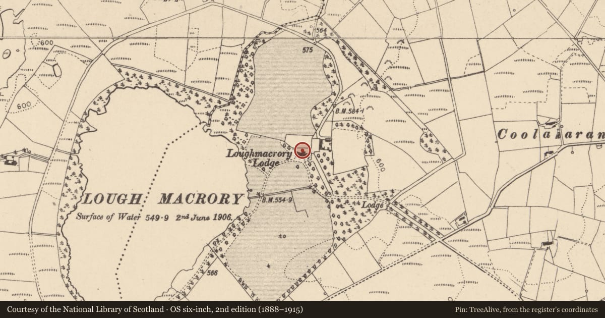 Ordnance Survey six-inch map, 2nd edition (1888–1915) covering the location of Loughmacrory Lodge, Fermanagh and Omagh, with a pin at the register's coordinates