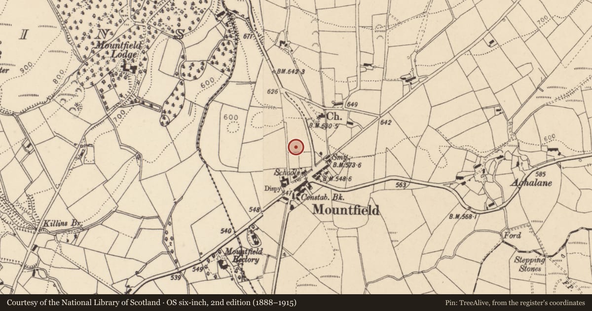 Ordnance Survey six-inch map, 2nd edition (1888–1915) covering the location of Mountfield Primary School, Fermanagh and Omagh, with a pin at the register's coordinates
