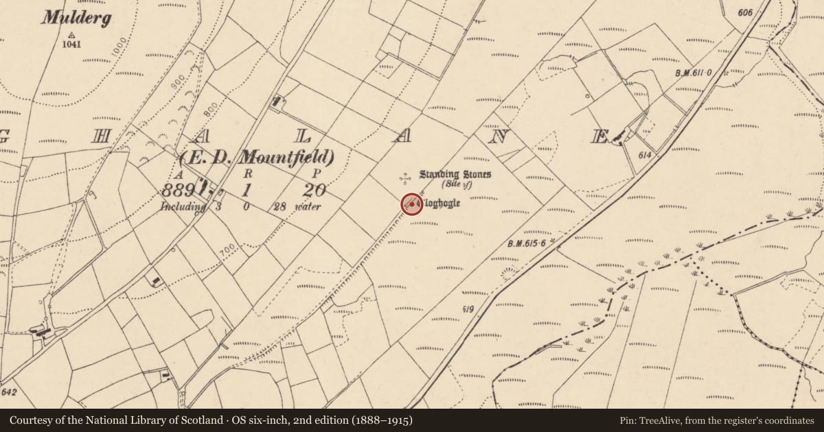 Ordnance Survey six-inch map, 2nd edition (1888–1915) covering the location of Cairn, Fermanagh and Omagh, with a pin at the register's coordinates