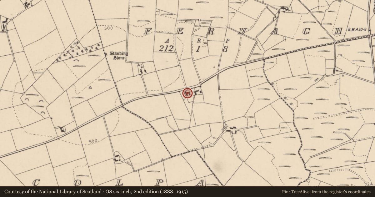 Ordnance Survey six-inch map, 2nd edition (1888–1915) covering the location of 21 Fernagh Road, Fermanagh and Omagh, with a pin at the register's coordinates