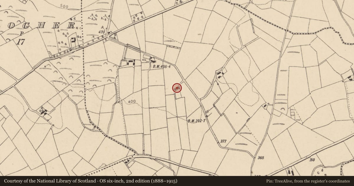 Ordnance Survey six-inch map, 2nd edition (1888–1915) covering the location of 18 Hawthorn Road, Ballynamullan, Fermanagh and Omagh, with a pin at the register's coordinates