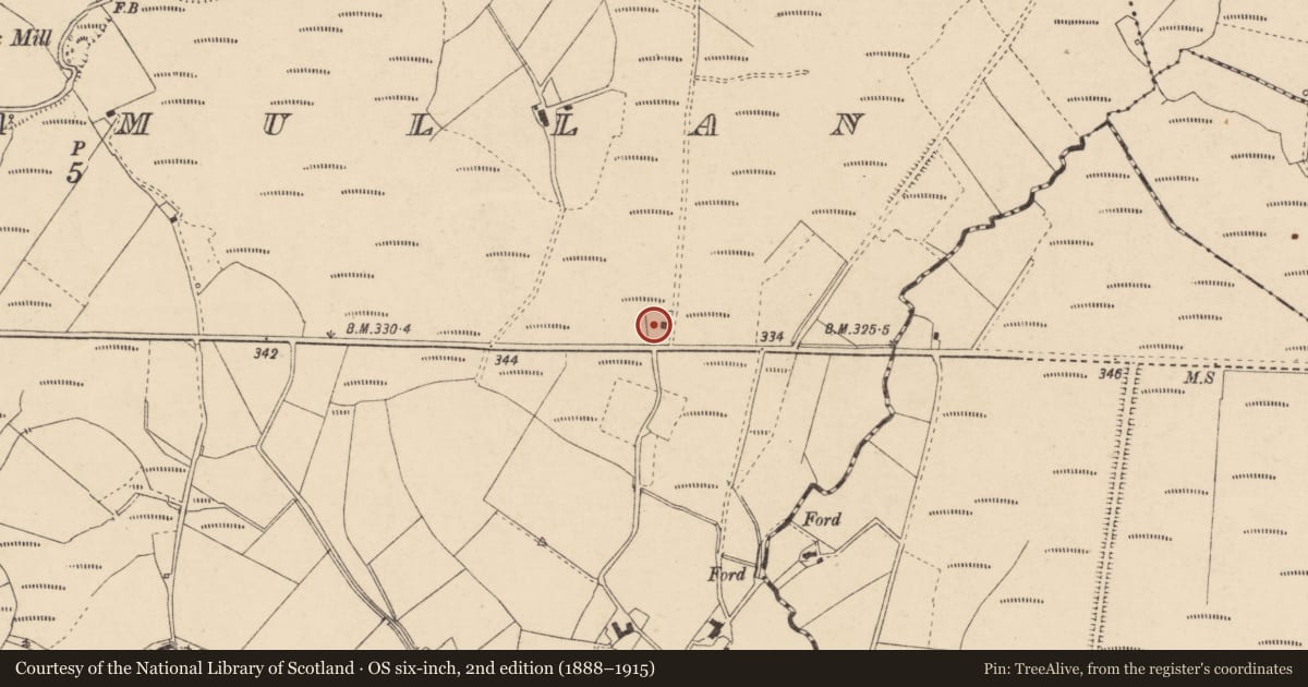 Ordnance Survey six-inch map, 2nd edition (1888–1915) covering the location of House adjoining, Ballynamullan, Fermanagh and Omagh, with a pin at the register's coordinates