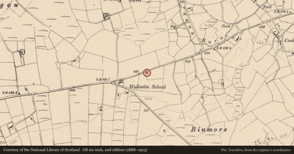 Ordnance Survey six-inch map, 2nd edition (1888–1915) covering the location of Rural Industry, Mullaghslin Glebe, Fermanagh and Omagh, with a pin at the register's coordinates