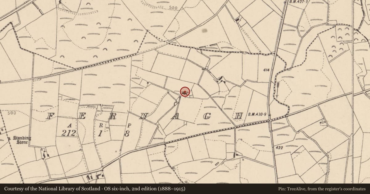 Ordnance Survey six-inch map, 2nd edition (1888–1915) covering the location of Fernagh Road, Fermanagh and Omagh, with a pin at the register's coordinates