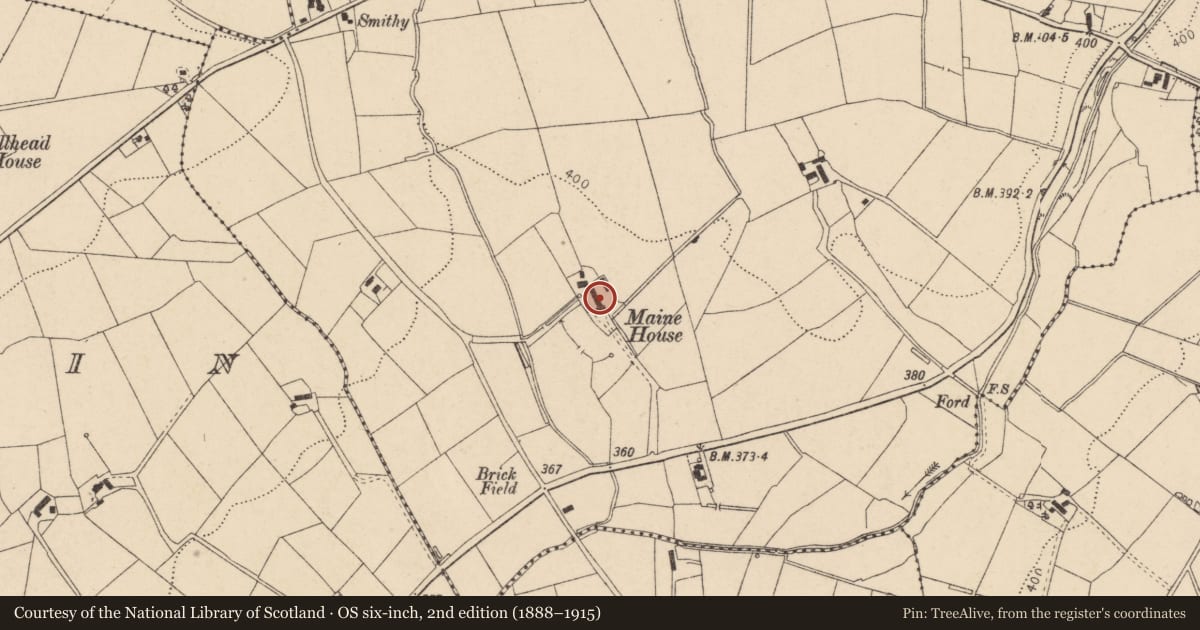 Ordnance Survey six-inch map, 2nd edition (1888–1915) covering the location of Mayne House, Maine, Fermanagh and Omagh, with a pin at the register's coordinates