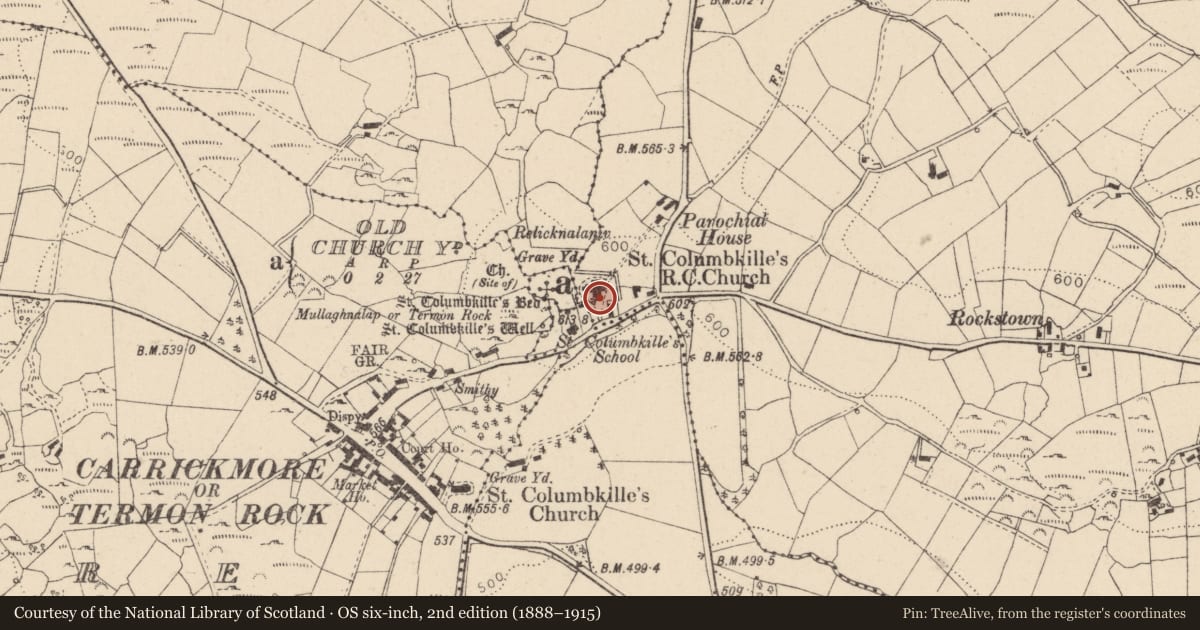 Ordnance Survey six-inch map, 2nd edition (1888–1915) covering the location of MacGurk Memorial, Creggandevesty, Fermanagh and Omagh, with a pin at the register's coordinates