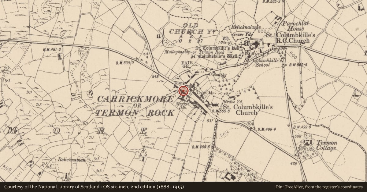 Ordnance Survey six-inch map, 2nd edition (1888–1915) covering the location of Nos 14, 16 & 18, Fermanagh and Omagh, with a pin at the register's coordinates