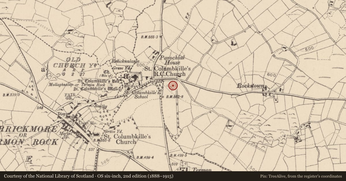 Ordnance Survey six-inch map, 2nd edition (1888–1915) covering the location of Parochial House, Fermanagh and Omagh, with a pin at the register's coordinates