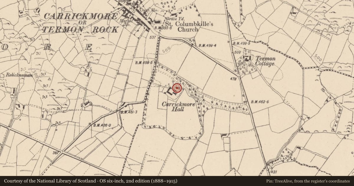 Ordnance Survey six-inch map, 2nd edition (1888–1915) covering the location of Carrickmore House or Old Rectory, Fermanagh and Omagh, with a pin at the register's coordinates