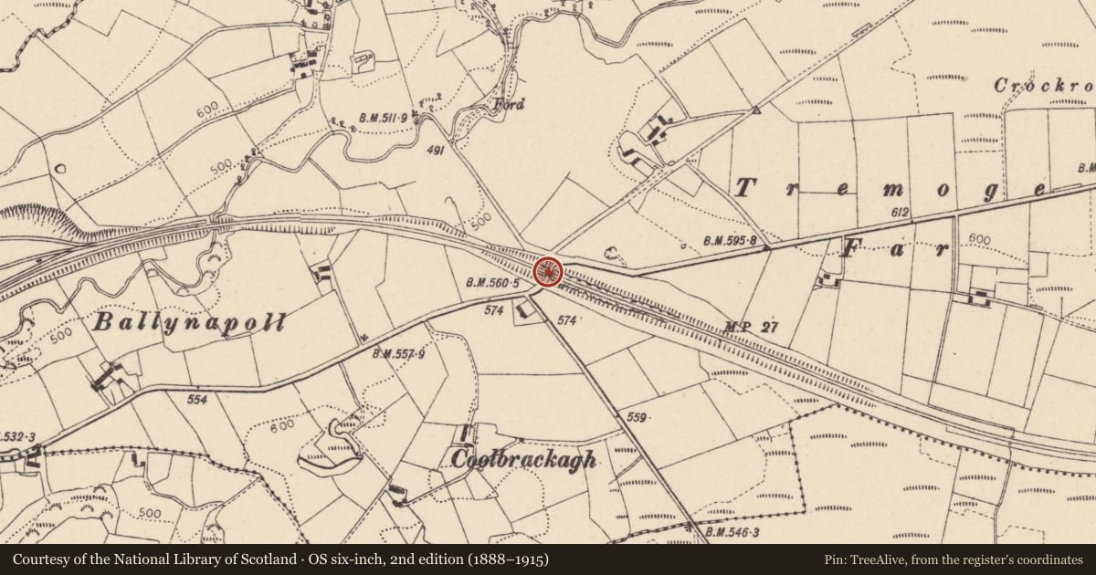 Ordnance Survey six-inch map, 2nd edition (1888–1915) covering the location of Bridge No1, Fermanagh and Omagh, with a pin at the register's coordinates