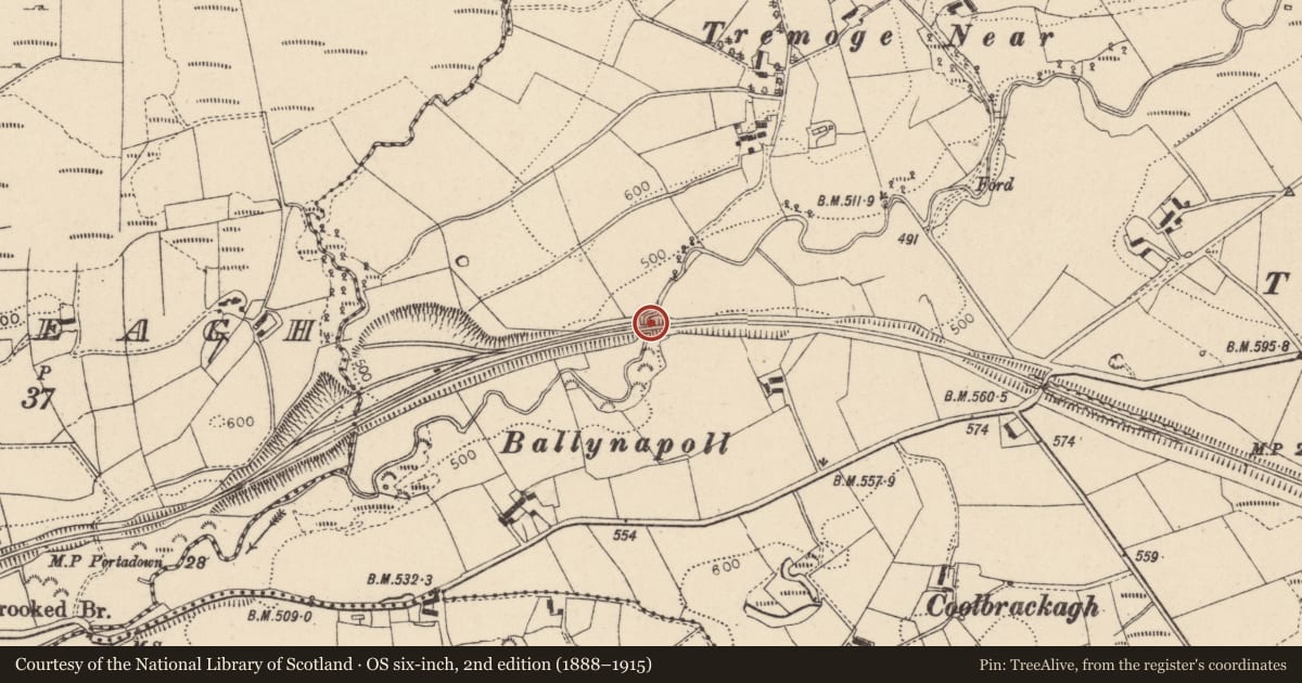 Ordnance Survey six-inch map, 2nd edition (1888–1915) covering the location of Bridge No 2, Aghnanereagh Tiroony, Fermanagh and Omagh, with a pin at the register's coordinates