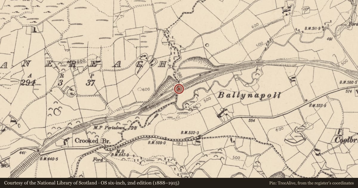 Ordnance Survey six-inch map, 2nd edition (1888–1915) covering the location of Bridge No 3, Fermanagh and Omagh, with a pin at the register's coordinates