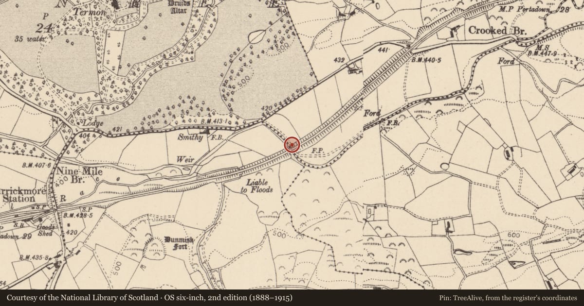 Ordnance Survey six-inch map, 2nd edition (1888–1915) covering the location of Bridge No 5, Fermanagh and Omagh, with a pin at the register's coordinates