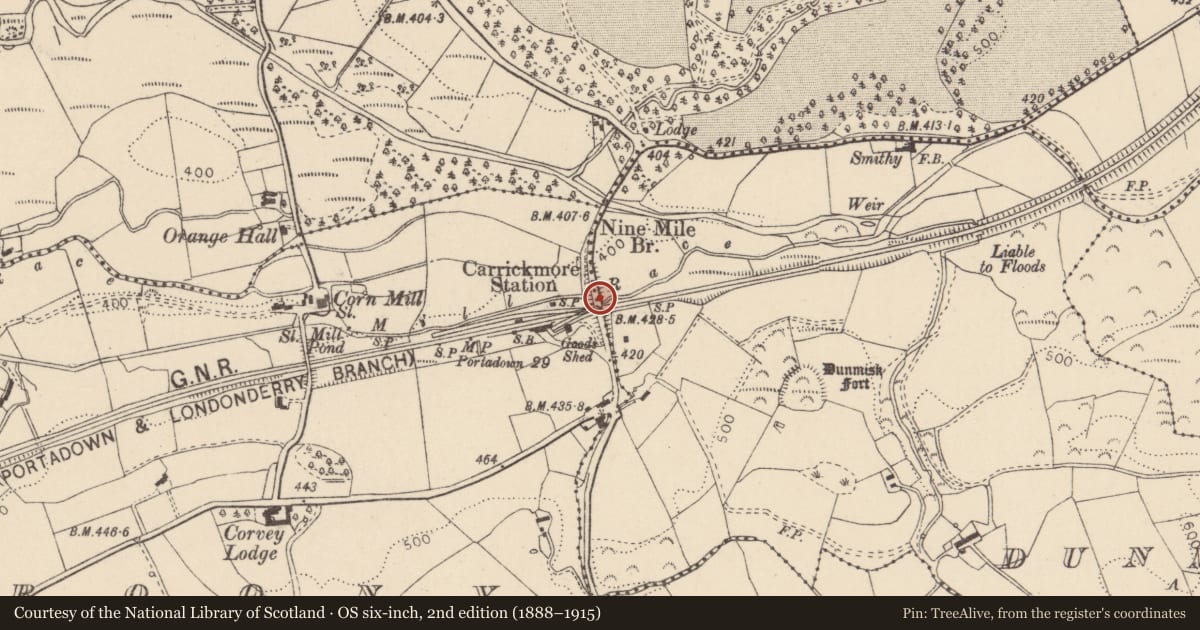 Ordnance Survey six-inch map, 2nd edition (1888–1915) covering the location of Bridge no.6, Tiroony, Fermanagh and Omagh, with a pin at the register's coordinates
