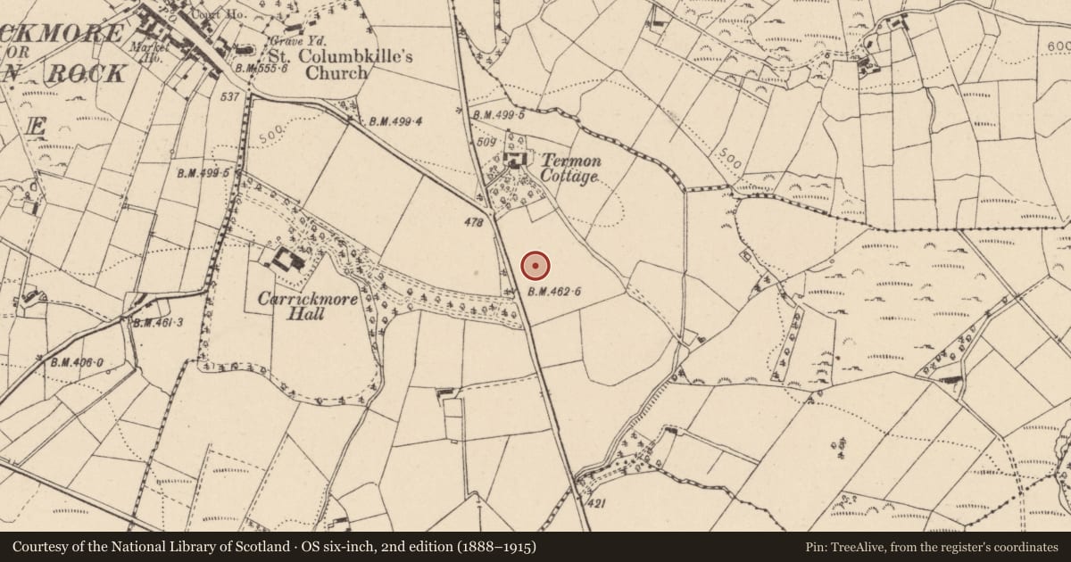Ordnance Survey six-inch map, 2nd edition (1888–1915) covering the location of Dean Brian Maguire High School, Fermanagh and Omagh, with a pin at the register's coordinates