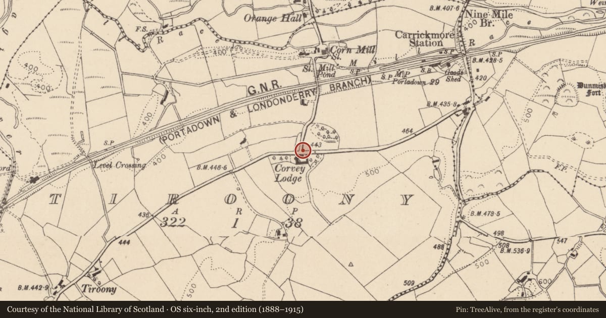 Ordnance Survey six-inch map, 2nd edition (1888–1915) covering the location of Telephone Kiosk, Tiroony, with a pin at the register's coordinates