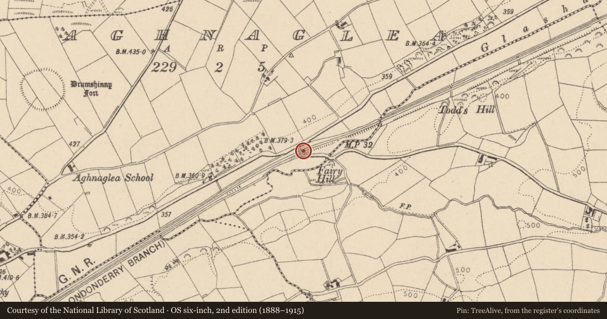 Ordnance Survey six-inch map, 2nd edition (1888–1915) covering the location of Fairy Hill Bridge, Fermanagh and Omagh, with a pin at the register's coordinates