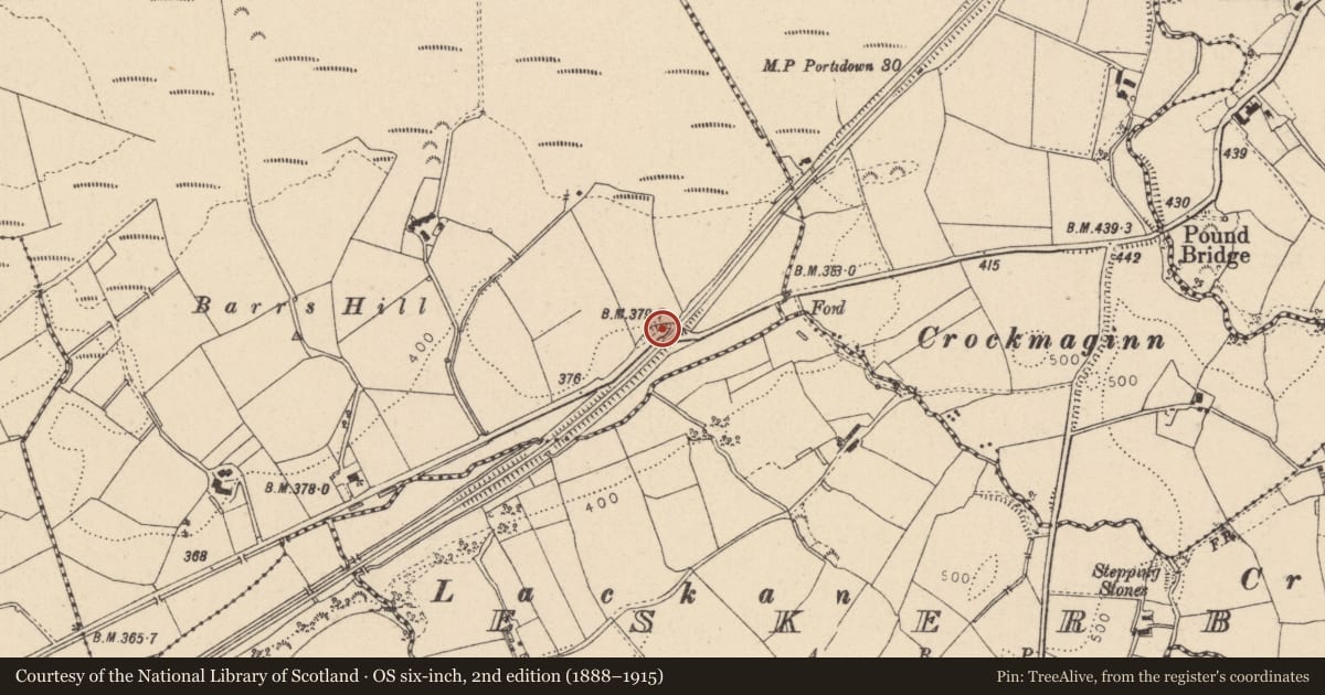 Ordnance Survey six-inch map, 2nd edition (1888–1915) covering the location of Bridge No.9, Fermanagh and Omagh, with a pin at the register's coordinates