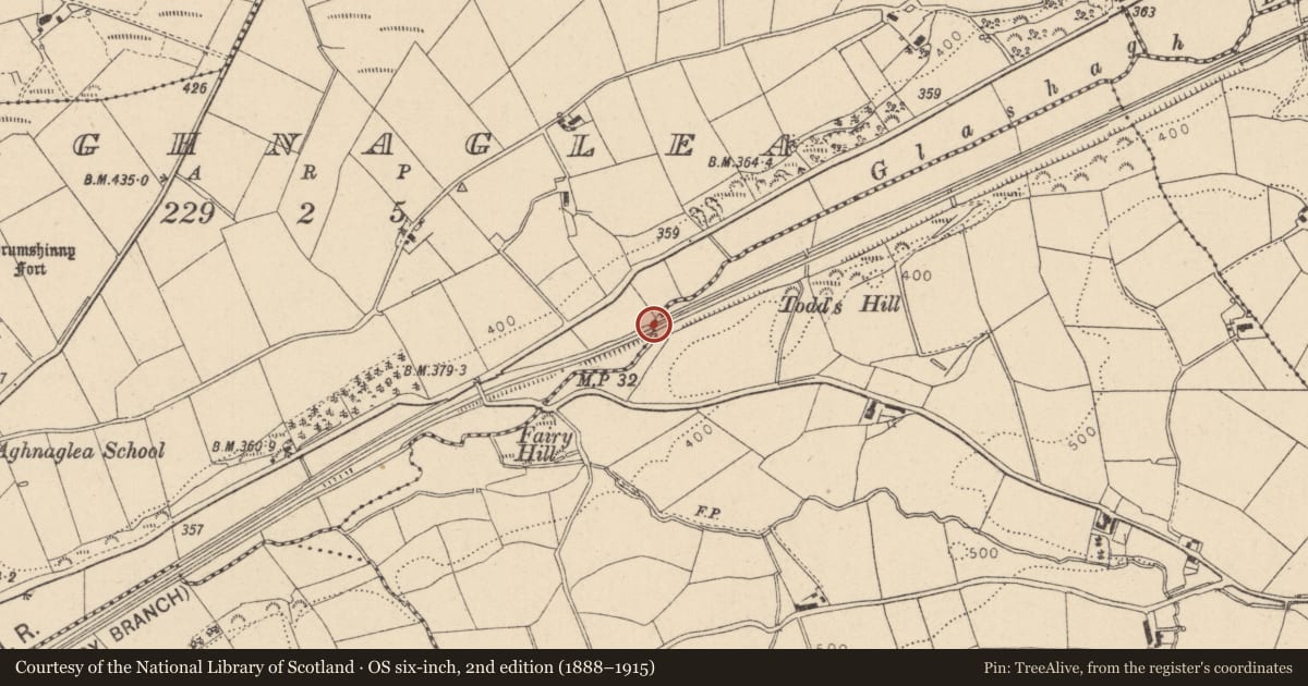 Ordnance Survey six-inch map, 2nd edition (1888–1915) covering the location of Bridge No.10, Fermanagh and Omagh, with a pin at the register's coordinates
