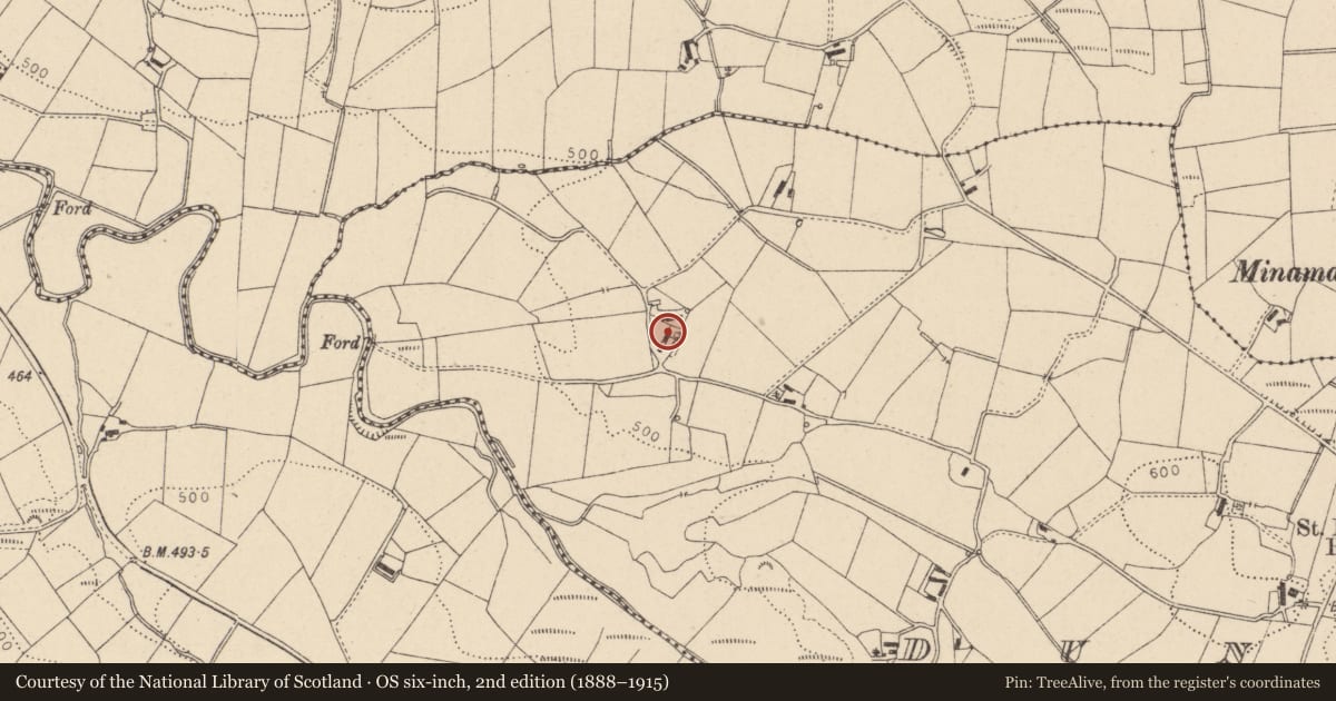 Ordnance Survey six-inch map, 2nd edition (1888–1915) covering the location of 85 off Foremass Road, Fermanagh and Omagh, with a pin at the register's coordinates