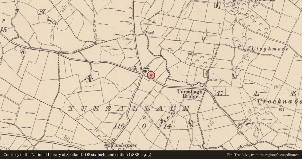 Ordnance Survey six-inch map, 2nd edition (1888–1915) covering the location of Telephone Kiosk, Tursallagh, with a pin at the register's coordinates