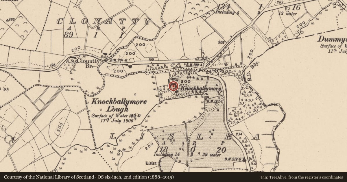 Ordnance Survey six-inch map, 2nd edition (1888–1915) covering the location of Stableyard, Lislea, Fermanagh and Omagh, with a pin at the register's coordinates