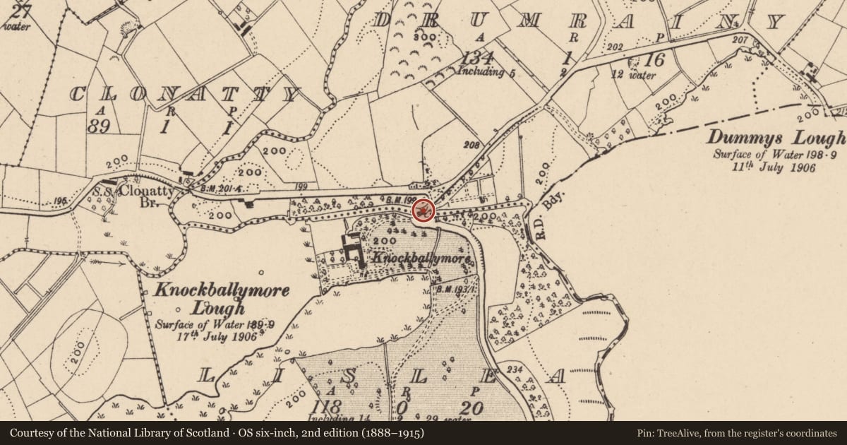 Ordnance Survey six-inch map, 2nd edition (1888–1915) covering the location of Knockballymore Bridge, Drumrainy/Lislea, Fermanagh and Omagh, with a pin at the register's coordinates