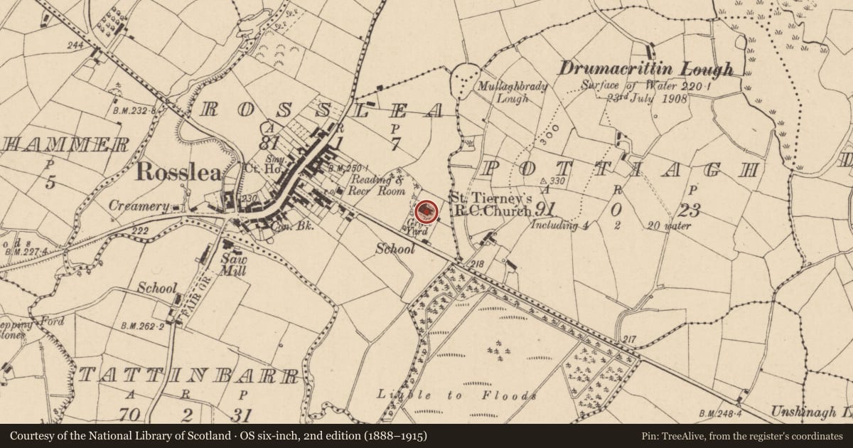 Ordnance Survey six-inch map, 2nd edition (1888–1915) covering the location of St. Tierney's RC Church, Rosslea, Fermanagh and Omagh, with a pin at the register's coordinates