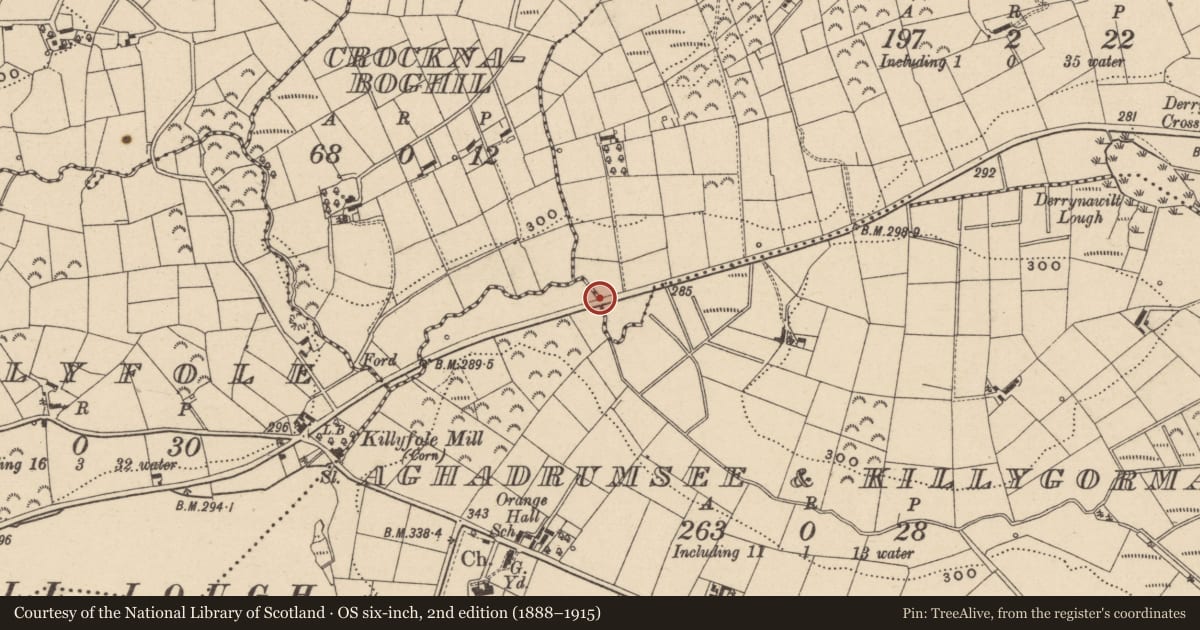 Ordnance Survey six-inch map, 2nd edition (1888–1915) covering the location of Bridge, Aghadrumsee/Killygorman/Derrynawilt West, Fermanagh and Omagh, with a pin at the register's coordinates