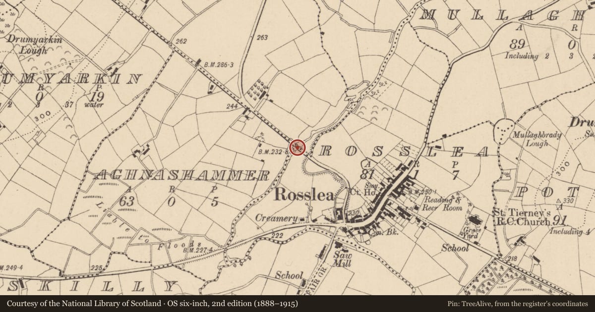 Ordnance Survey six-inch map, 2nd edition (1888–1915) covering the location of Bridge, Rosslea/Aghnashammer/Mullaghconnelly, Fermanagh and Omagh, with a pin at the register's coordinates