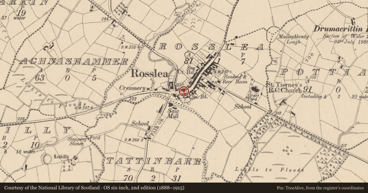 Ordnance Survey six-inch map, 2nd edition (1888–1915) covering the location of 12 Main Street, Rosslea, Fermanagh and Omagh, with a pin at the register's coordinates