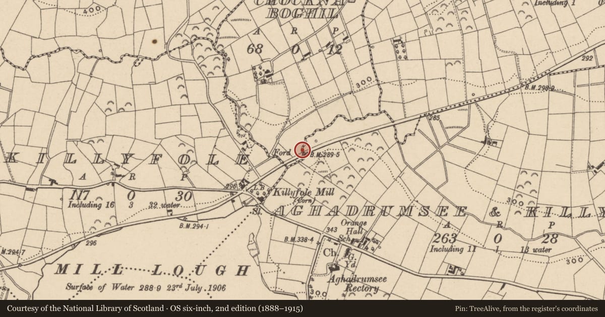 Ordnance Survey six-inch map, 2nd edition (1888–1915) covering the location of Bridge, Crocknaboghill/Aghadrumsee/Killygorman, Fermanagh and Omagh, with a pin at the register's coordinates
