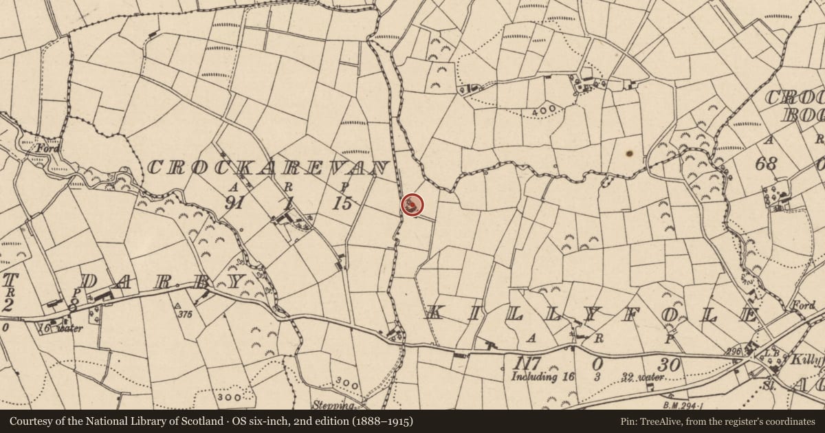 Ordnance Survey six-inch map, 2nd edition (1888–1915) covering the location of McElgunn’s Cottage, Killyfole, Fermanagh and Omagh, with a pin at the register's coordinates