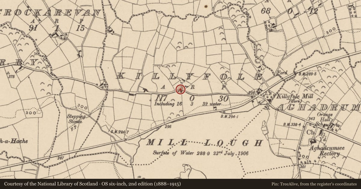 Ordnance Survey six-inch map, 2nd edition (1888–1915) covering the location of Turf House, Killyfole, Fermanagh and Omagh, with a pin at the register's coordinates
