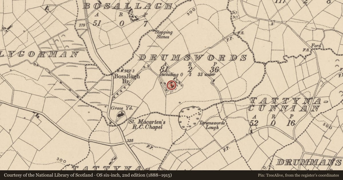 Ordnance Survey six-inch map, 2nd edition (1888–1915) covering the location of House, Drumswords, Fermanagh and Omagh, with a pin at the register's coordinates