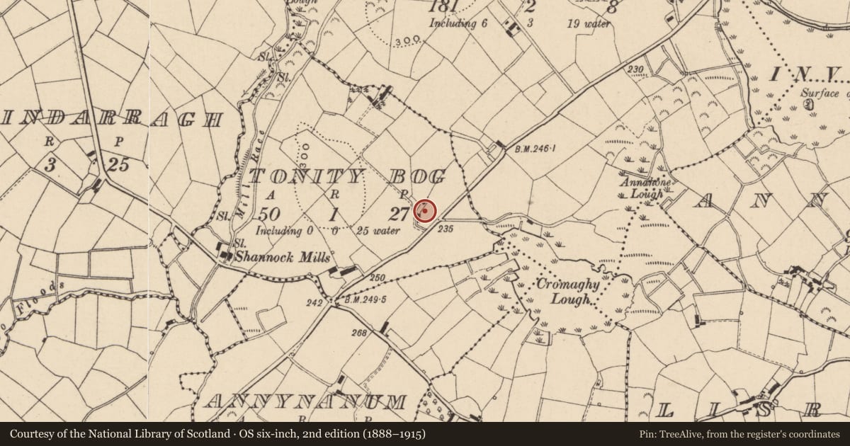 Ordnance Survey six-inch map, 2nd edition (1888–1915) covering the location of House, Tonity Bog, Fermanagh and Omagh, with a pin at the register's coordinates