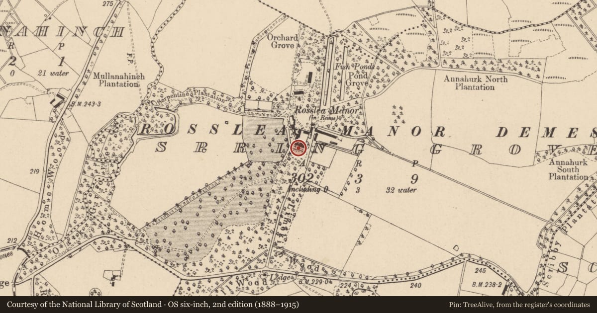 Ordnance Survey six-inch map, 2nd edition (1888–1915) covering the location of Outbuildings at Spring Grove, Fermanagh and Omagh, with a pin at the register's coordinates