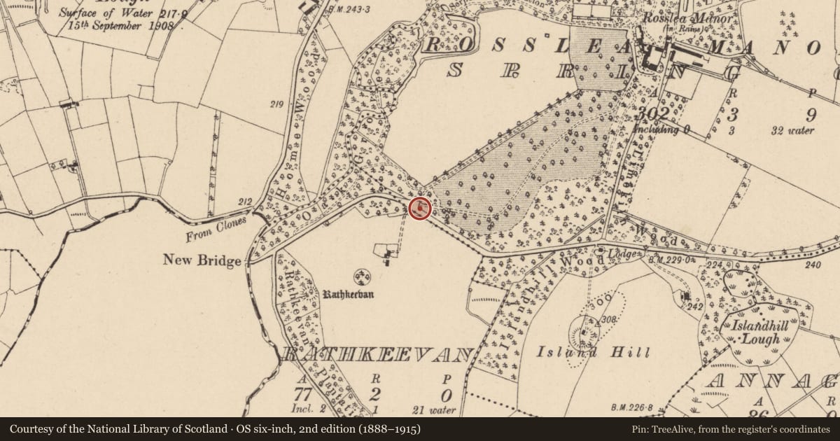 Ordnance Survey six-inch map, 2nd edition (1888–1915) covering the location of Gate Piers and Wall, Spring Grove, Fermanagh and Omagh, with a pin at the register's coordinates