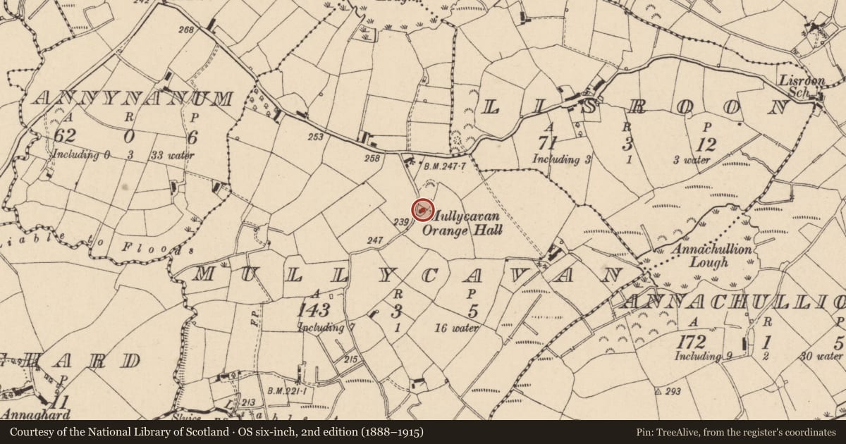 Ordnance Survey six-inch map, 2nd edition (1888–1915) covering the location of Orange Lodge, Mullycavan, Fermanagh and Omagh, with a pin at the register's coordinates