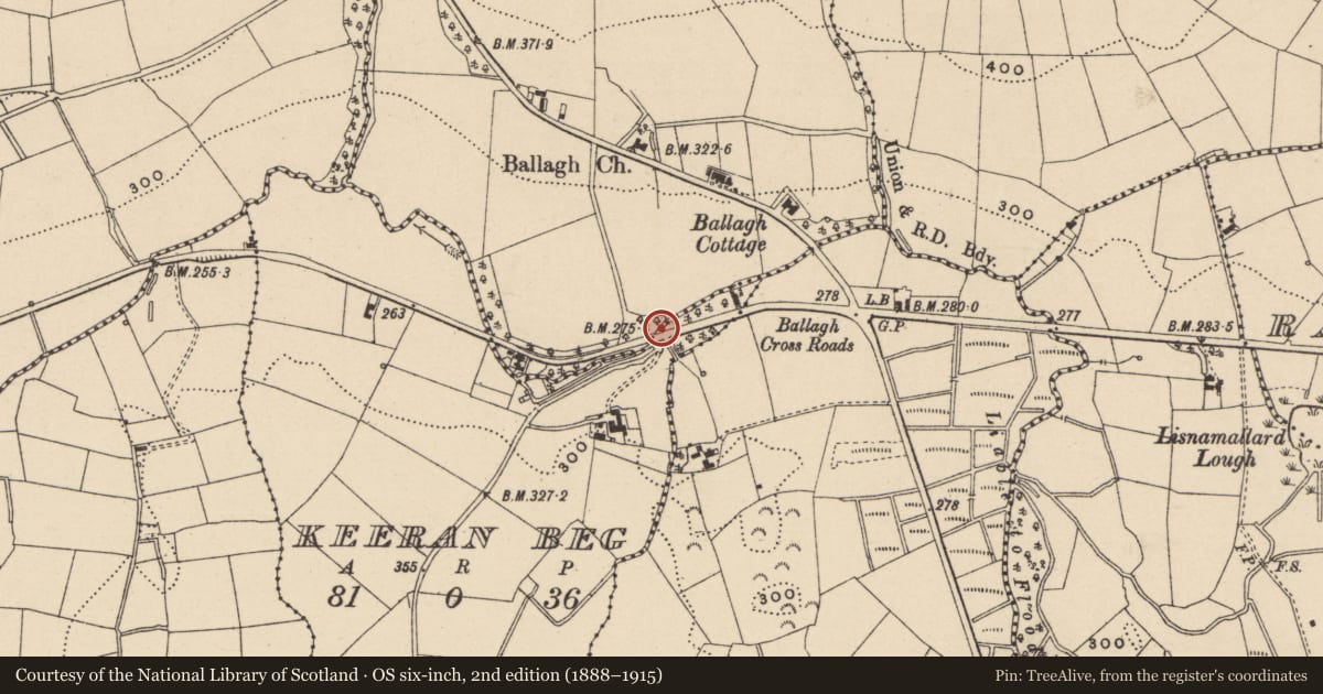 Ordnance Survey six-inch map, 2nd edition (1888–1915) covering the location of Bridge, Ballagh/Keeran Beg, Fermanagh and Omagh, with a pin at the register's coordinates